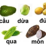 ZinBon_Ciaz