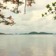 Mây Bốn Phương Trời