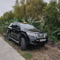 Kingkong_Terra