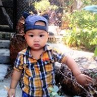 Namnguyen1005