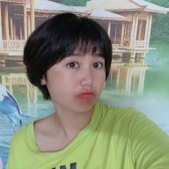 Cá Heo 2029