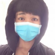Ngo cung