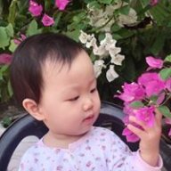 Bìnhdương2016