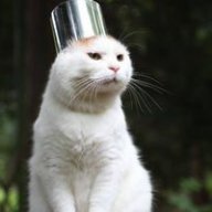 banhtrangtron43214