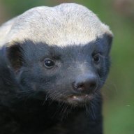 Tukitran