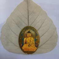 Đình Minh JSC