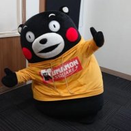 kumamon