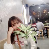 Thúy đỗ