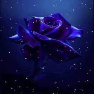 Roseday