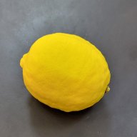leopapa1
