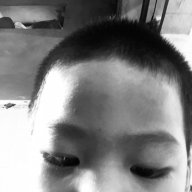 Giaphong286