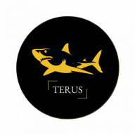 terustechnique