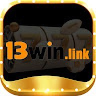 13winlink