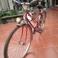 của đồng bò đường nhựa