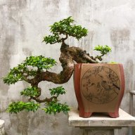 tainghe