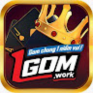 1gomwork1