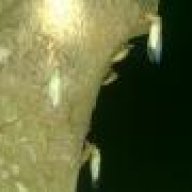 SECON HAND