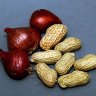 onion_peanut