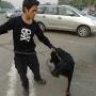animal RESCUE