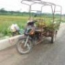 thiennhi