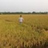 lehabinh