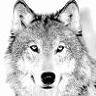 graywolf83