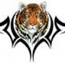 phongthan10