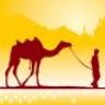Boy & Camel