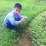 quangcuong80