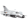 MIG.21