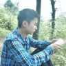 Vu hong manh