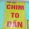 Chim to dần