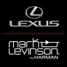 Hieu Mark levinson