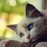 thanhphong68.bl