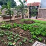 LeHung2907