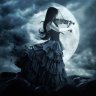 Night Sky