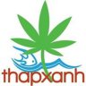 Thapxanh.com