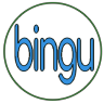 binguadm