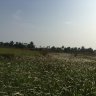 letrinh08