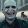 Voldemort2019