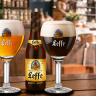 Mèo Leffe