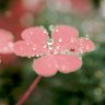 why_does_it_rain