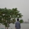 Trần Minh 31