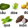 ZinBon_Ciaz