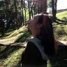 Yenthan34.ly