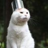banhtrangtron43214