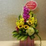 phannhan88