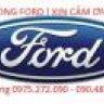 ceo.dung