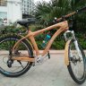 Chien_568