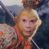 tonkngo0